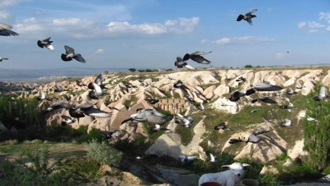 Cappadocia Express Mix Tour (Red Tour & Underground City) - Frequently Asked Questions