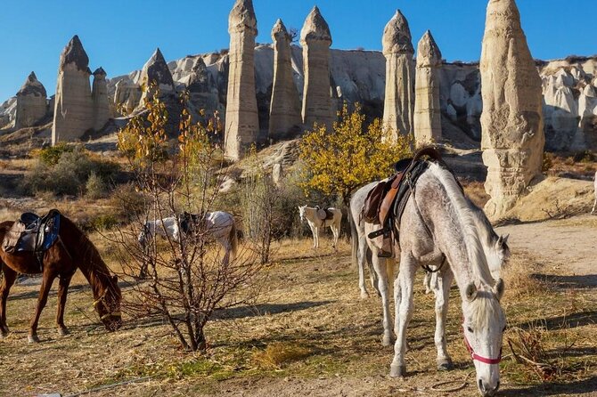 Cappadocia Horse Riding Experience Sunrise Sunset Daytime - Guidance for Beginners