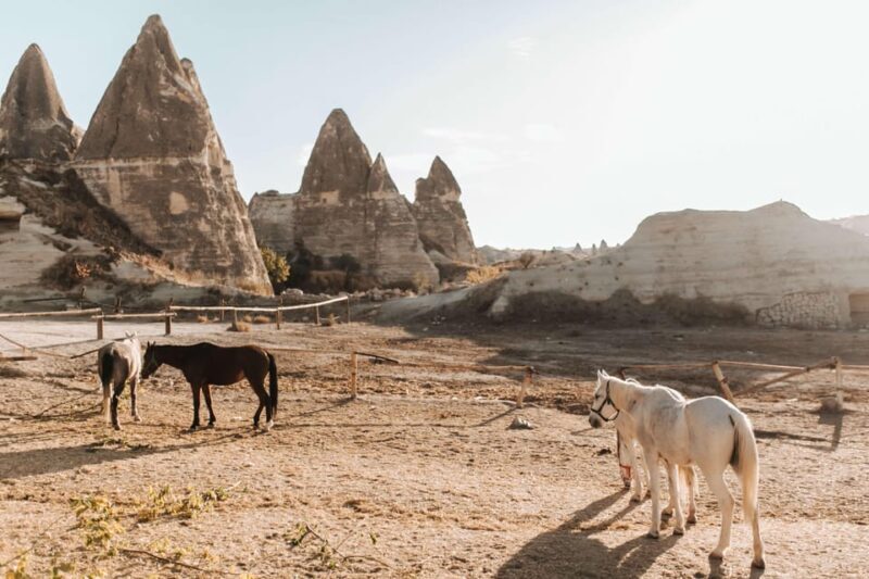 Cappadocia: Horse Riding Tour with Hotel Transfer - An Overview of the Experience
