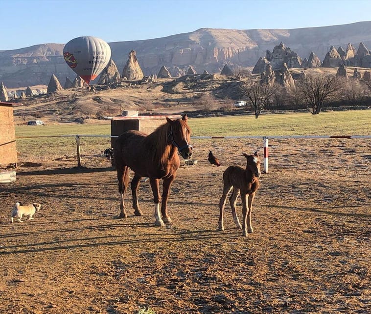 Cappadocia: Horseback Riding Tour in Cappadocia Valleys - Frequently Asked Questions