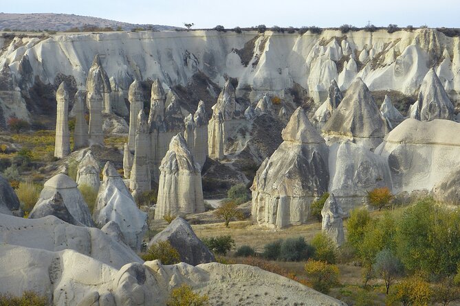 Cappadocia Red Tour + Lavender Garden - Visiting the Lavender Garden