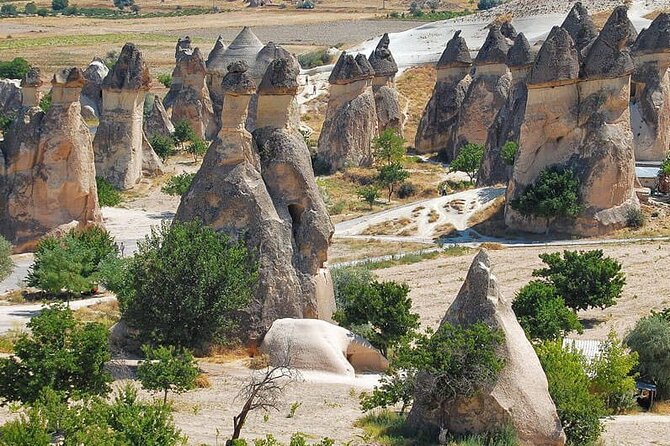 Cappadocia Shuttle Airport Transfer - Professional and Timely Service