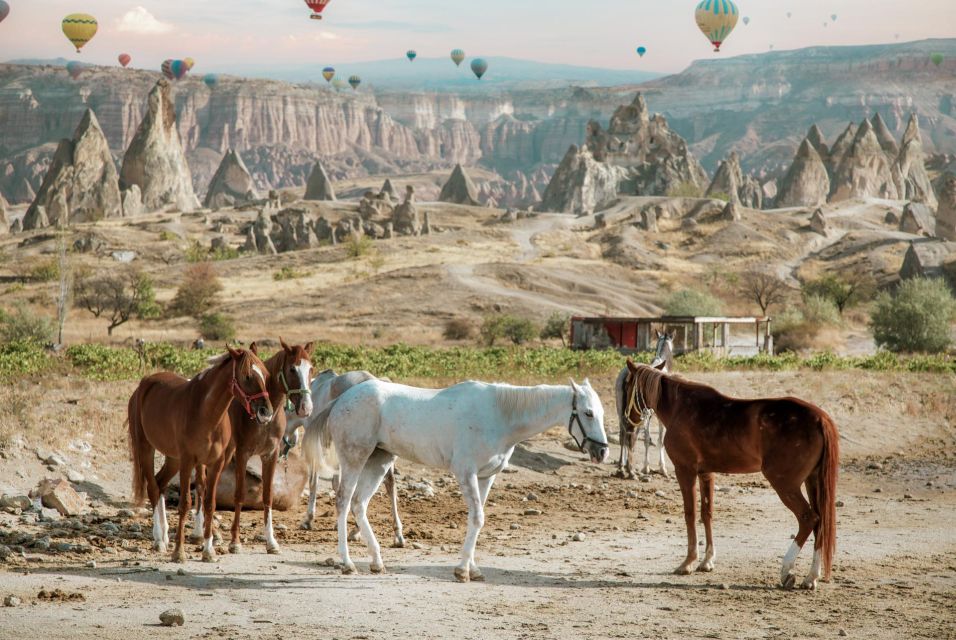 Cappadocia: Sunset Horseback-Riding Tour - What Travelers Say