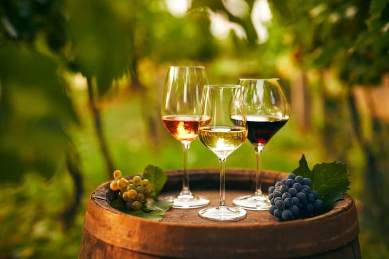 Cappadocia: Vineyard & Wine Tasting Among Fairy Chimneys - Price and Value