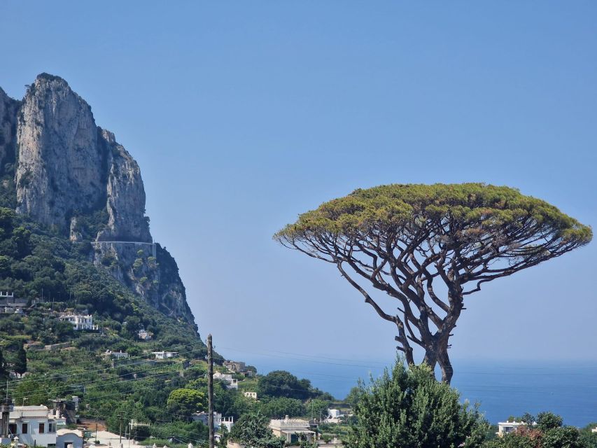 Capri, Anacapri, and Blue Grotto Full-Day Trip - Booking and Pricing
