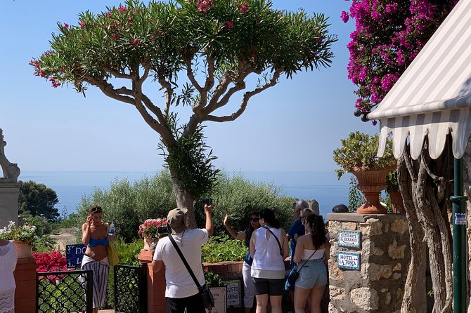 Capri & Anacapri With Blue Grotto and Guide From Sorrento - Pricing and Offers