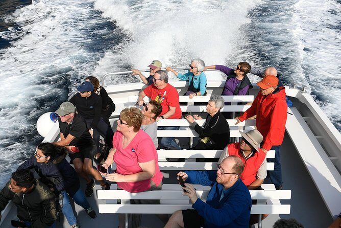 Capri Coast to Coast: Boat Tour with Optional Blue Grotto - Who Should Consider This Tour?