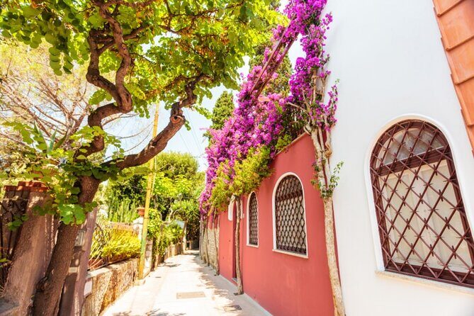 Capri Luxury Private Boat Tour: Day Trip from Rome by Train - The Bottom Line