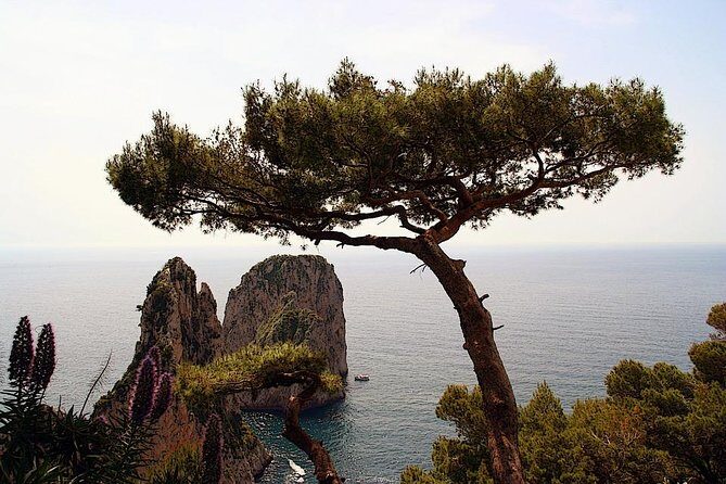 Capri Private Full Day Tour from Rome - The Itinerary: What to Expect