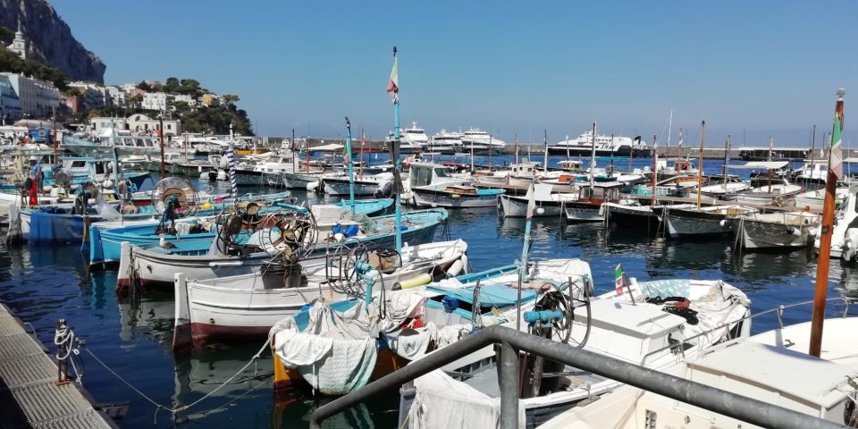 Capri: Private Island Boat Tour With Snorkeling and Swimming - Key Points