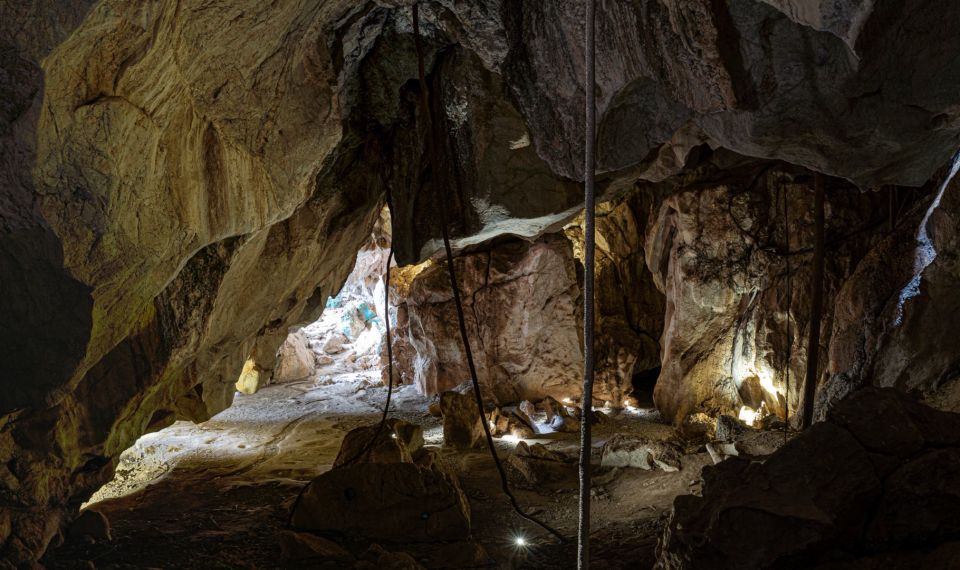 Capricorn Caves, Australia: 45-Minute Cathedral Cave Tour - Key Points