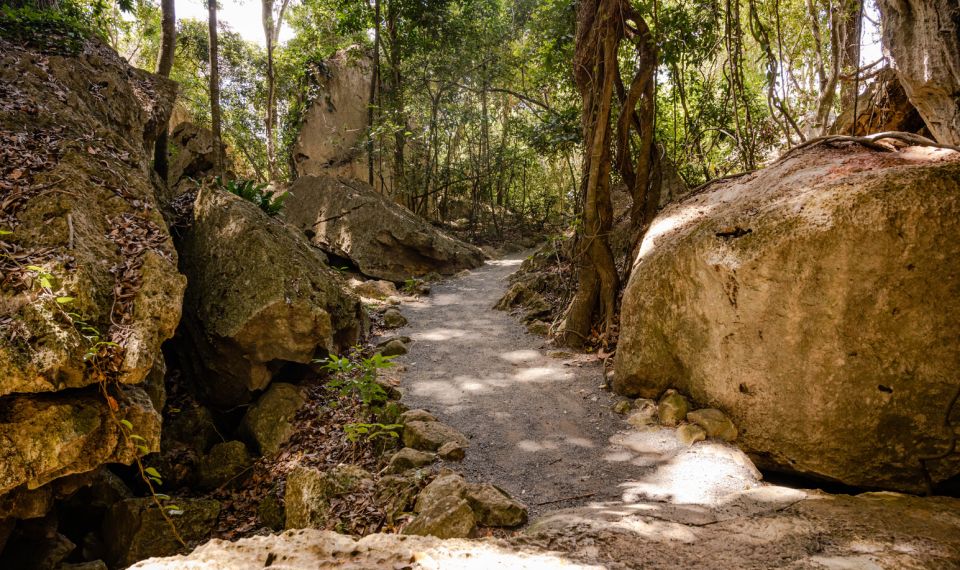 Capricorn Caves, Australia: 45-Minute Cathedral Cave Tour - Inclusions
