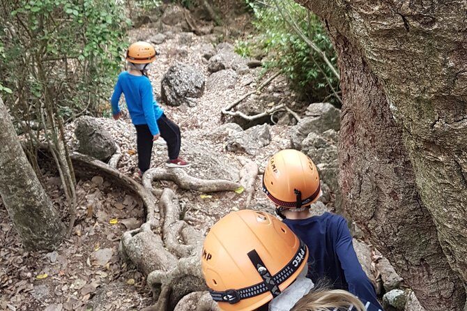 Capricorn Caves Capricorn Explorer - FAQ  