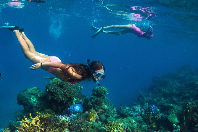 Capt Cook Cruises Super Saver Combo: Day Sail + Dinner Cruise - What Makes This Cruise Special?