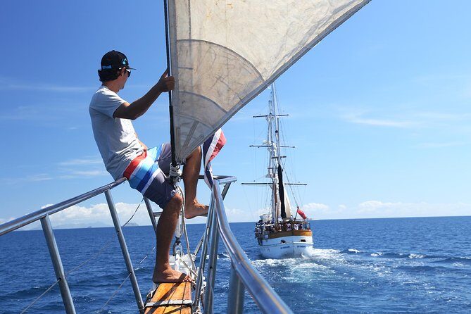 Capt Cook Cruises Super Saver Combo: Day Sail + Dinner Cruise - Final Words: Is It Worth It?