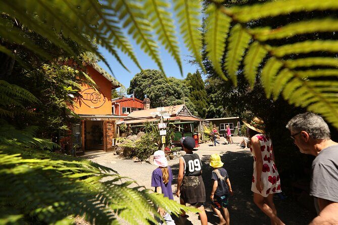 Captivating Railway Journey in Coromandel - An In-Depth Look at the Driving Creek Railway