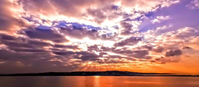 Capture LA's Coastal Magic-Wildlife, Marina Photography Tour - Key Points