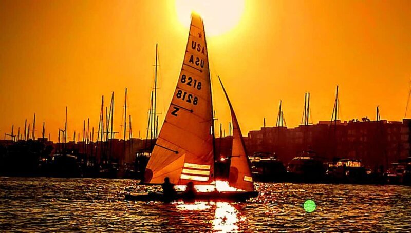 Capture LA's Coastal Magic-Wildlife, Marina Photography Tour - An Authentic Look at the Tour Experience