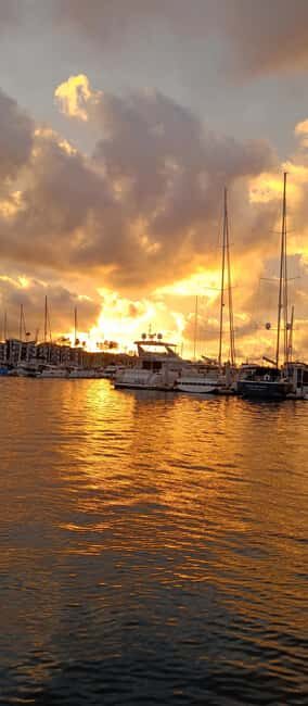 Capture LA's Coastal Magic-Wildlife, Marina Photography Tour - Final Words
