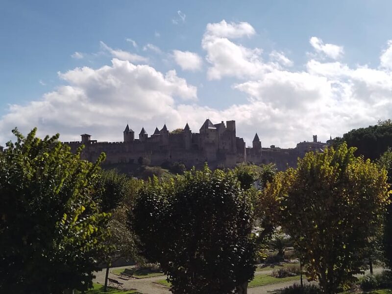 Carcassonne: Private Guided Tour With Castle Entry Ticket - Pricing and Cancellation Policy