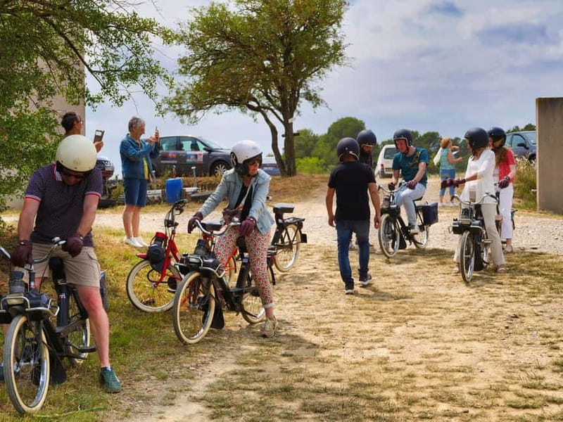 Carcassonne: Solex ride with guide and wine tasting - Why We Think Youll Love It
