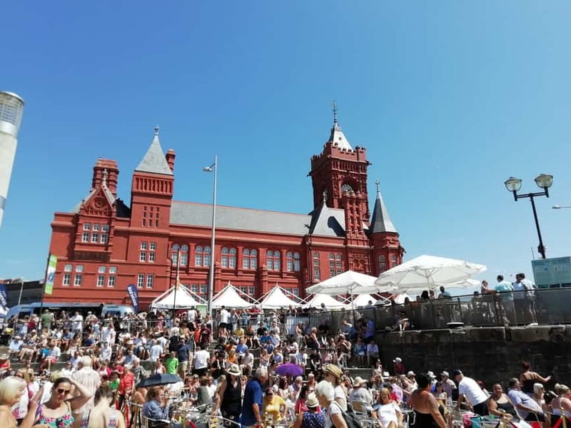 Cardiff Bay: Highlights Private Guided Tour - The Experience of the Tour