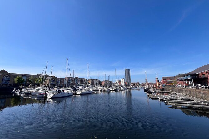 Cardiff: Gower Peninsula's Cliffs & Bays Scenic Day Tour - Who Will Love This Tour?