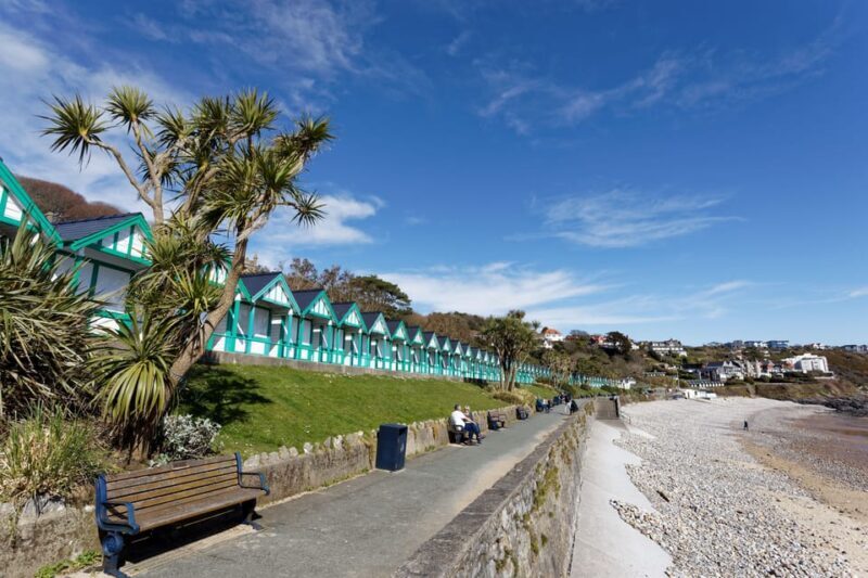 Cardiff: Gower Peninsula's Cliffs & Bays Scenic Day Tour - Final Thoughts
