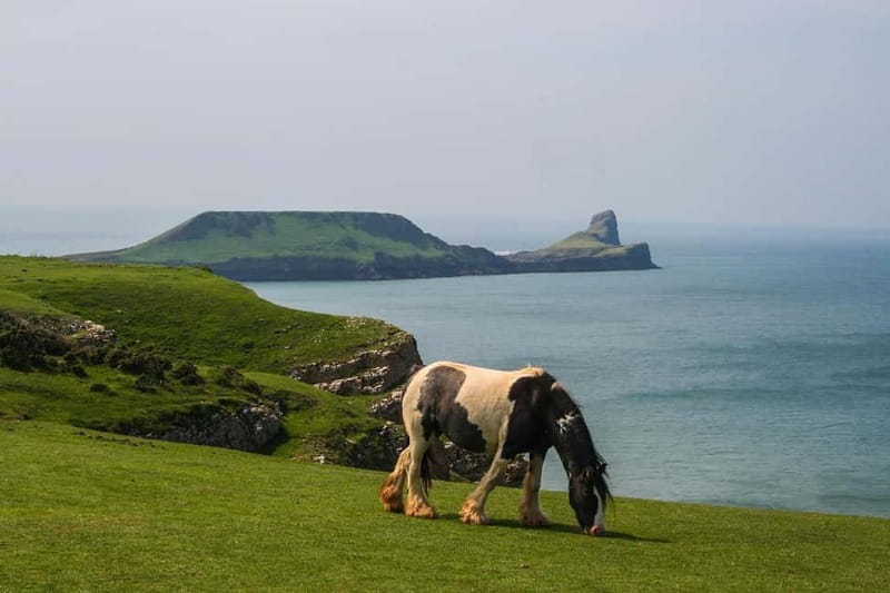 Cardiff: Private Day Tour Gower's Cliffs & Beaches - Discovering the Highlights of the Gower Peninsula