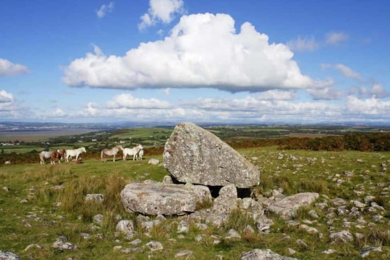 Cardiff: Private Day Tour Gower's Cliffs & Beaches - The Sum Up