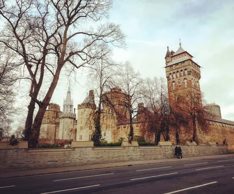 Cardiff: Private Half-Day City Center and Bay Walking Tour - Why This Tour Works for Different Travelers