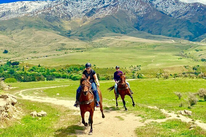Cardrona High Country Pub Trail Horse Trek (Intermediate level+) - Why This Tour Offers Great Value