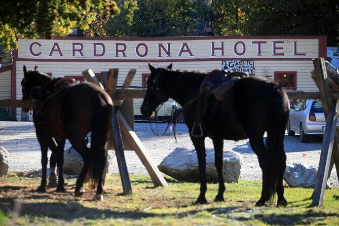 Cardrona High Country Pub Trail Horse Trek (Intermediate level+) - Authentic Experiences & Guest Feedback
