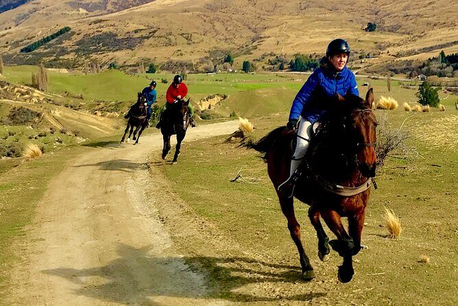 Cardrona High Country Pub Trail Horse Trek (Intermediate level+) - Who Should Consider This Tour?