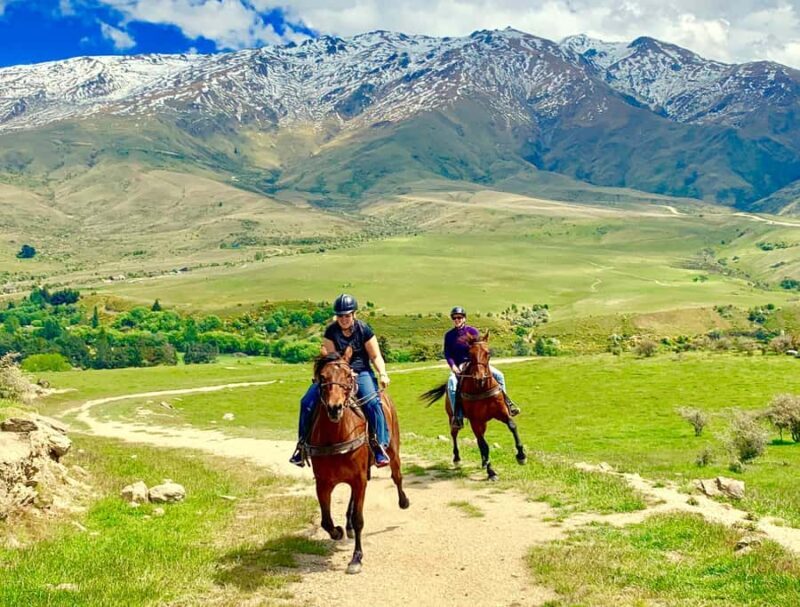 Cardrona Valley: Horse Trekking Experience - Key Points