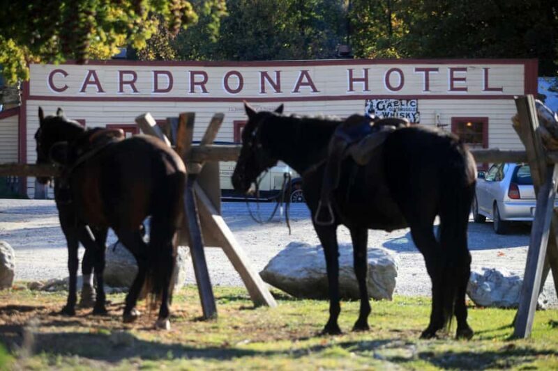 Cardrona Valley: Horse Trekking Experience - Introduction: Discover Cardrona’s Scenic Horseback Ride