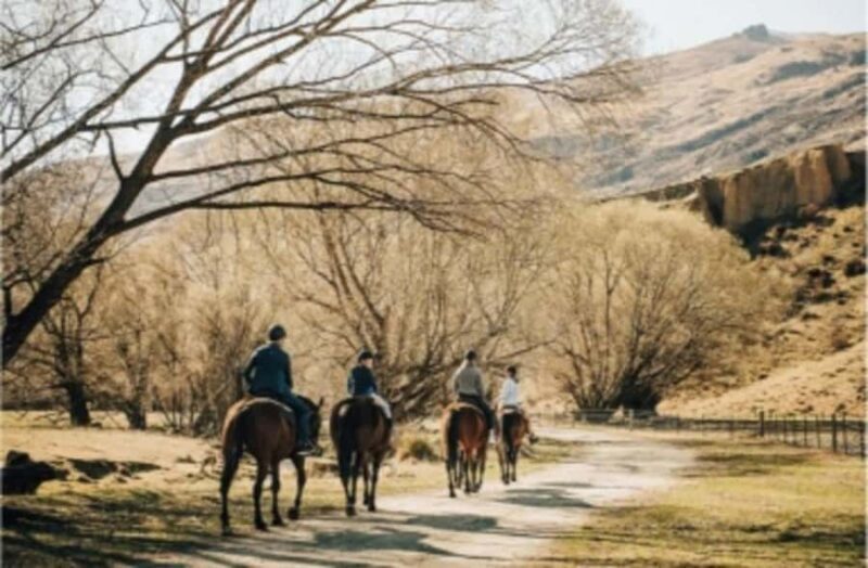 Cardrona Valley: Horse Trekking Experience - The Experience Breakdown: What You Can Expect