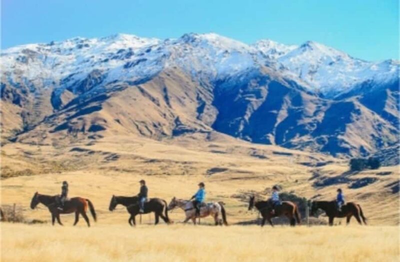 Cardrona Valley: Horse Trekking Experience - Who Would Love This Tour?