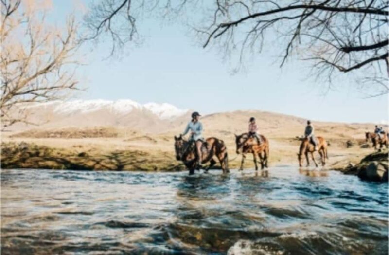 Cardrona Valley: Horse Trekking Experience - A Word on Value and Practicalities