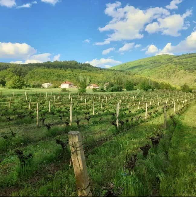 Careva Distillery: Taste Macedonian Brandies, Wines & Nature - Introduction to Careva Distillery