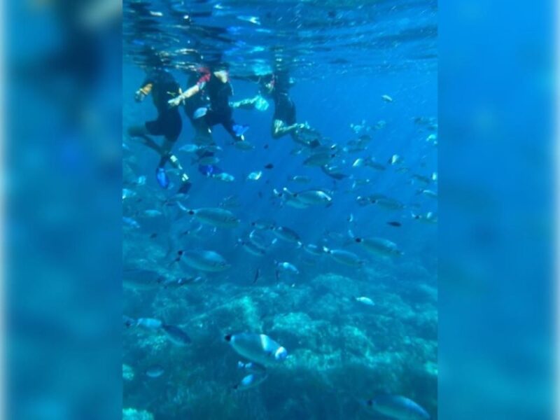 Cargèse: Capo Rosso Snorkeling and Sea Cave Tour - Restrictions