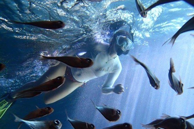 Caribbean Blue Charters - Full Day Boat Charter - 35' Marlin Power Boat - Why This Tour Stands Out