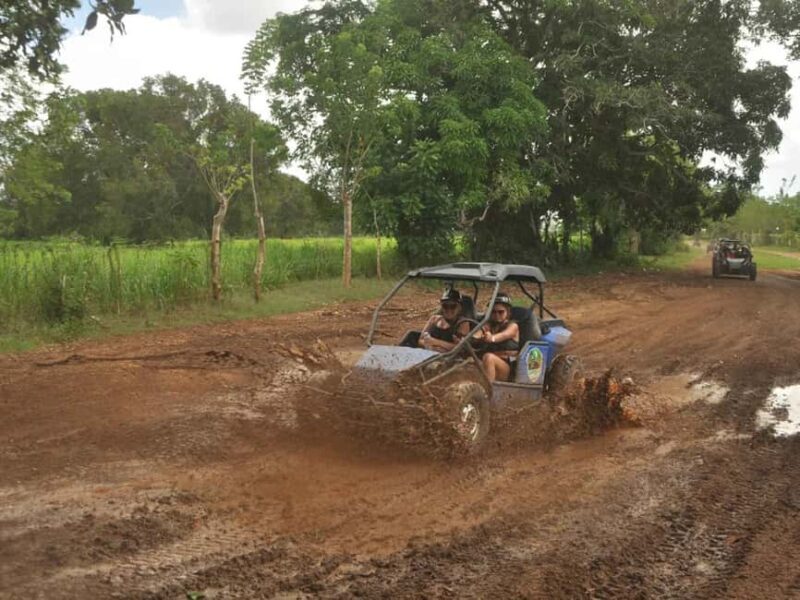 Caribbean Buggy Escape  Bayahibe Jungle & Safari - A Deep Dive into the Caribbean Buggy Escape Experience