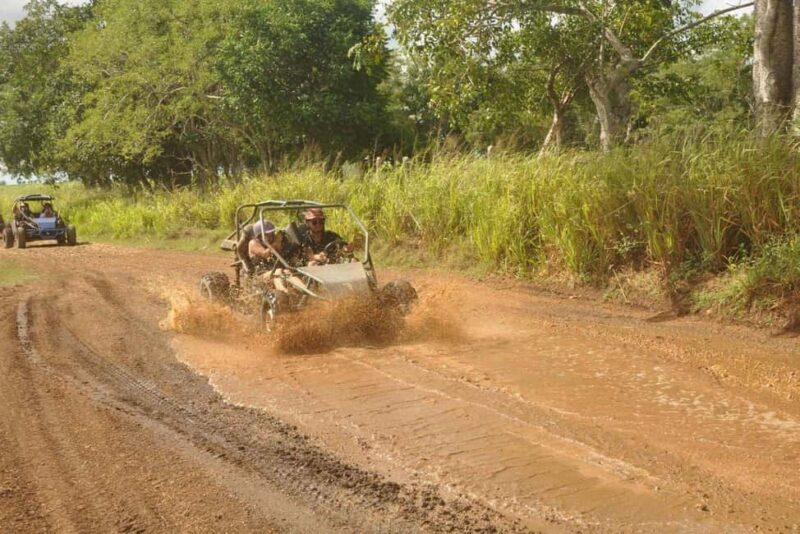 Caribbean Buggy Escape  Bayahibe Jungle & Safari - Who Will Love This Tour?