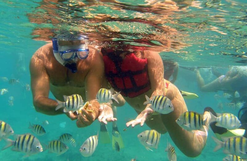 Caribbean Sea With Lagoon Half Day Tour - The Sum Up: Who Should Consider This Tour?