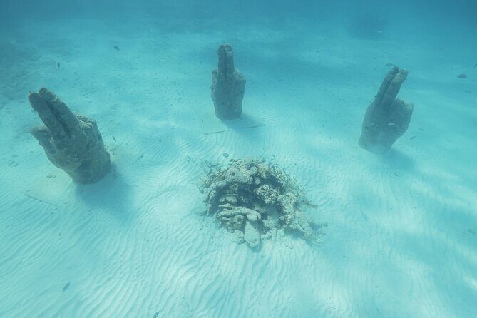 Caribbean Star Snorkeling Tour - The Value of This Tour