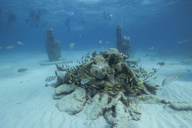 Caribbean Star Snorkeling Tour - Authentic Feedback and Insights