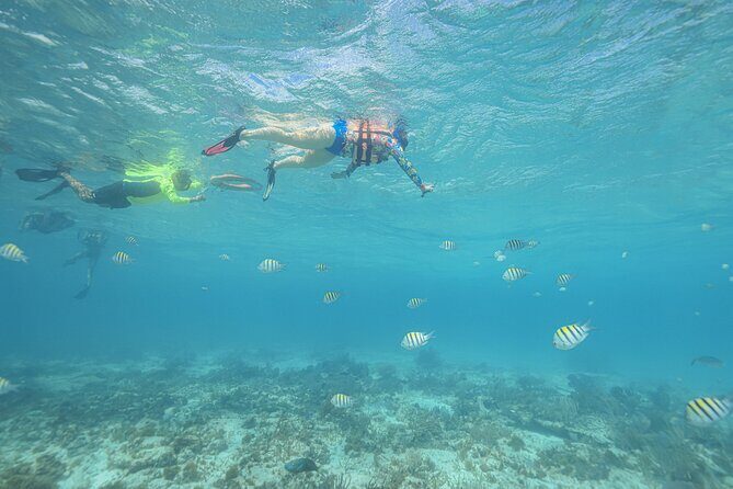 Caribbean Star Snorkeling Tour - Final Thoughts