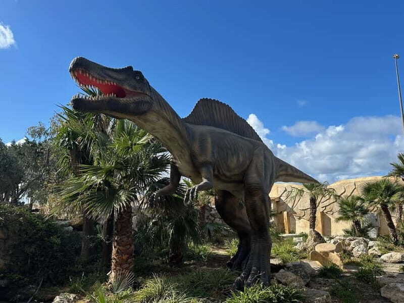 Carini: admission ticket to the Biopark of Sicily - Practical Details and Considerations