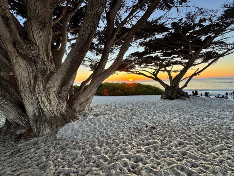 Carmel-by-the-Sea: Guided Food Tour with 5 Authentic Dishes - Key Points